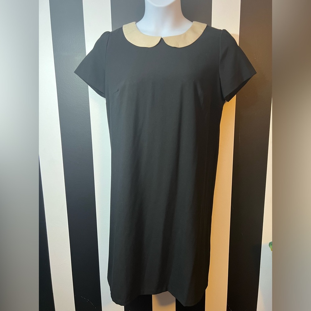 Classic Black Mini Dress w/ Cream Bib Collar Wednesday Addam’s Dress: SZ 14